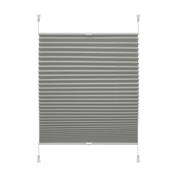 Antracitno siv rolo 57x150 cm Plisé Verona Termo – Gardinia