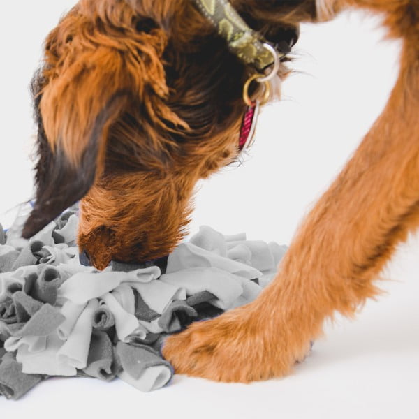 Preproga za priboljške – Love Story-image-1