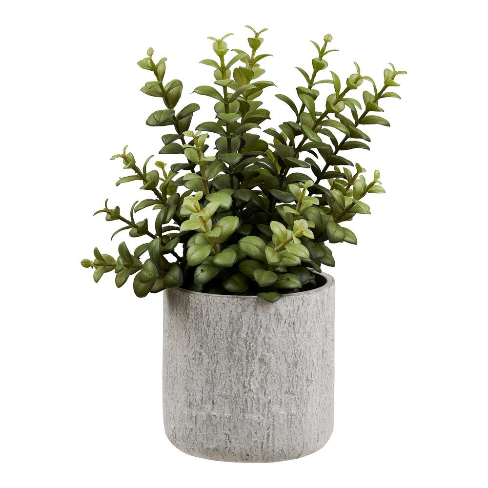 Umetna rastlina (višina 33,5 cm) Succulent