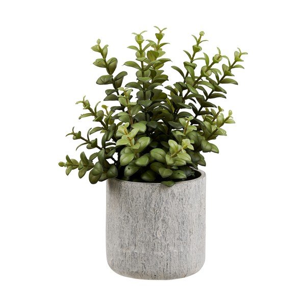 Umetna rastlina (višina 33,5 cm) Succulent – House Nordic