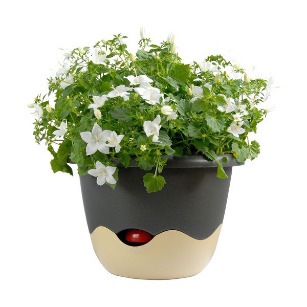 Modro-bel samozalivalni cvetlični lonček Plastia Mareta, dolžina 30 cm-image-3