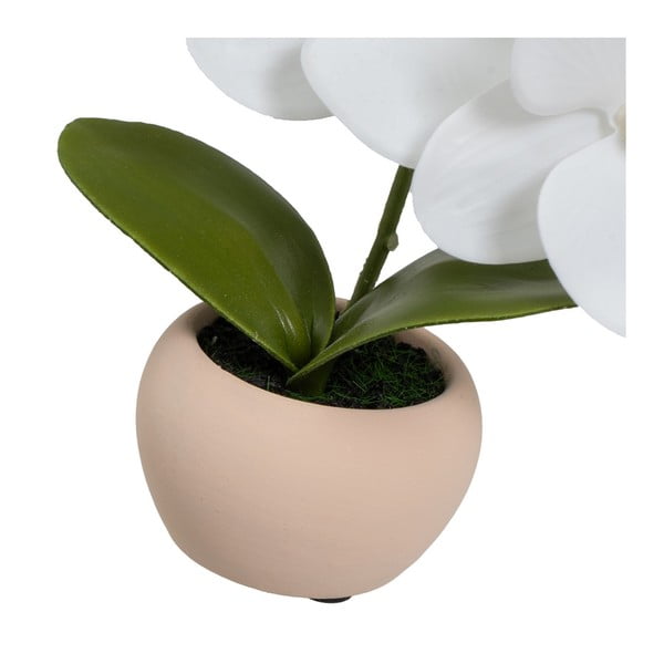 Umetne rastline v kompletu 3 ks (višina 15 cm) Orchid – Casa Selección-image-4