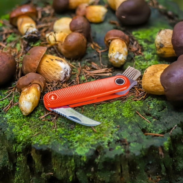 Žepni nož Move – Tescoma-image-1