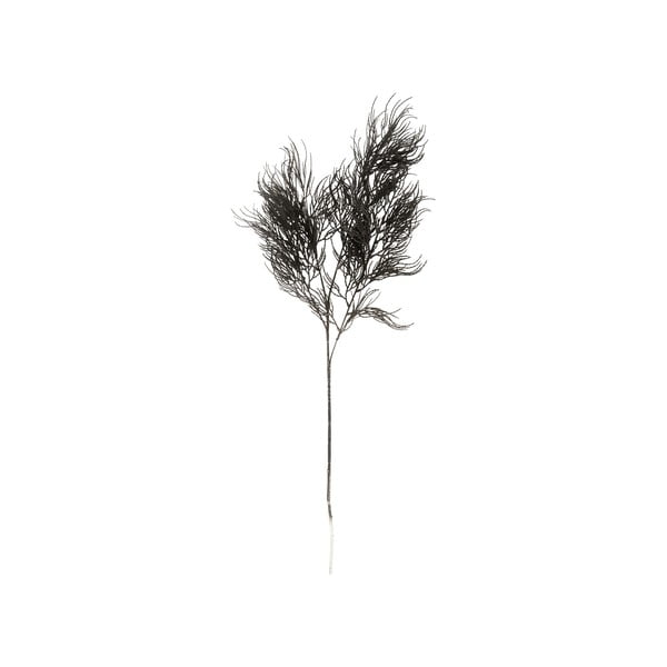 Umetna rastlina (višina 86 cm) Asparagus Fern – PT LIVING