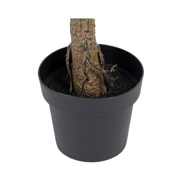 Umetni evkaliptus (višina 173 cm) Eucalyptus – Ixia-image-4