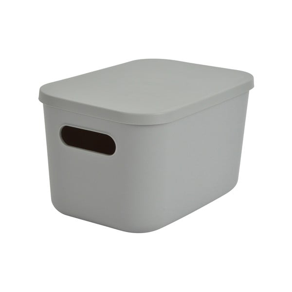 Siva plastična škatla za shranjevanje s pokrovom 24,5x18x15 cm – Homéa