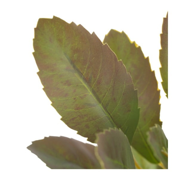 Umetna vejica (višina 37 cm) Lemon Tree – Ixia-image-2