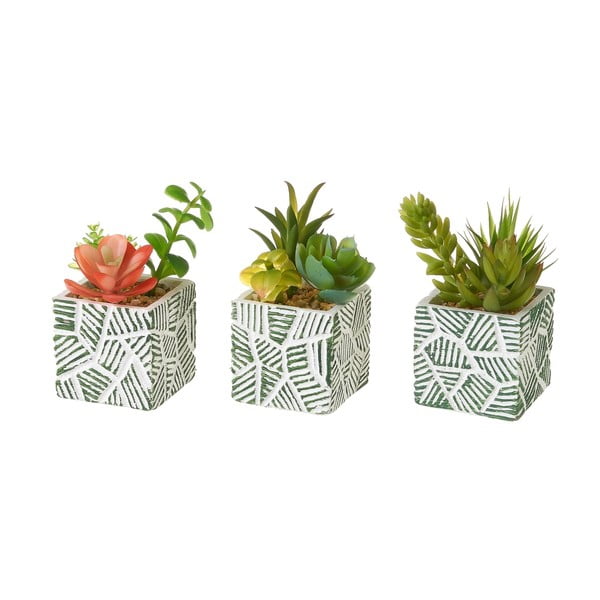 Umetne rastline v kompletu 3 ks (višina 12 cm) Cactus – Casa Selección