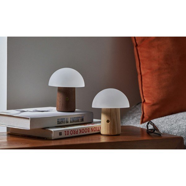 Namizna svetilka z možnostjo zatemnitve s steklenim senčnikom (višina 13 cm) Alice - Gingko-image-3