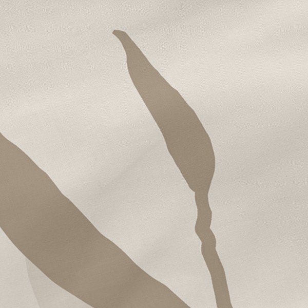 Bombažne prevleke za vzglavnik v kompletu 2 ks 50x75 cm Maple – Blanc-image-1