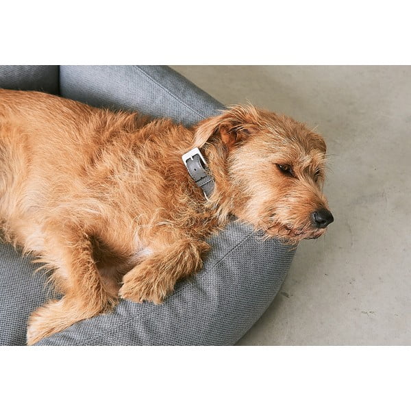 Rjava podloga za pse 55x70 cm Mare Kelp S – MiaCara-image-3