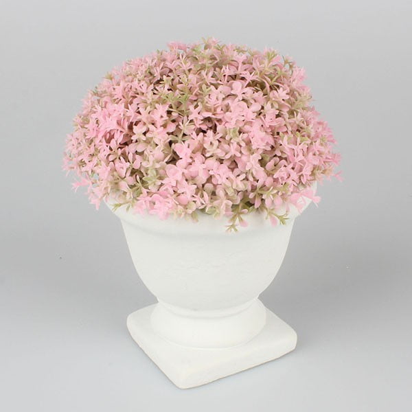 Okras z rožnatim cvetjem Dakls, višina 19 cm