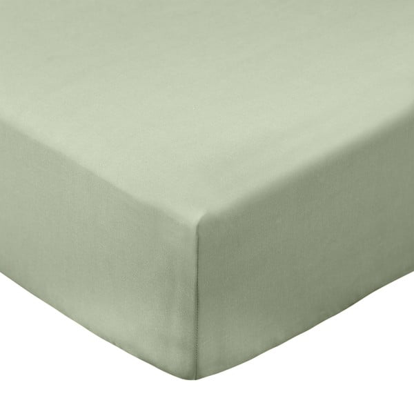 Zelena napenjalna rjuha iz bombažnega perkala 150x200 cm Cotton Percale – Bianca
