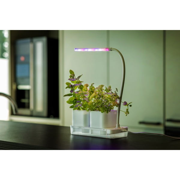 Kovinski sistem za gojenje Lamp – Esschert Design-image-1