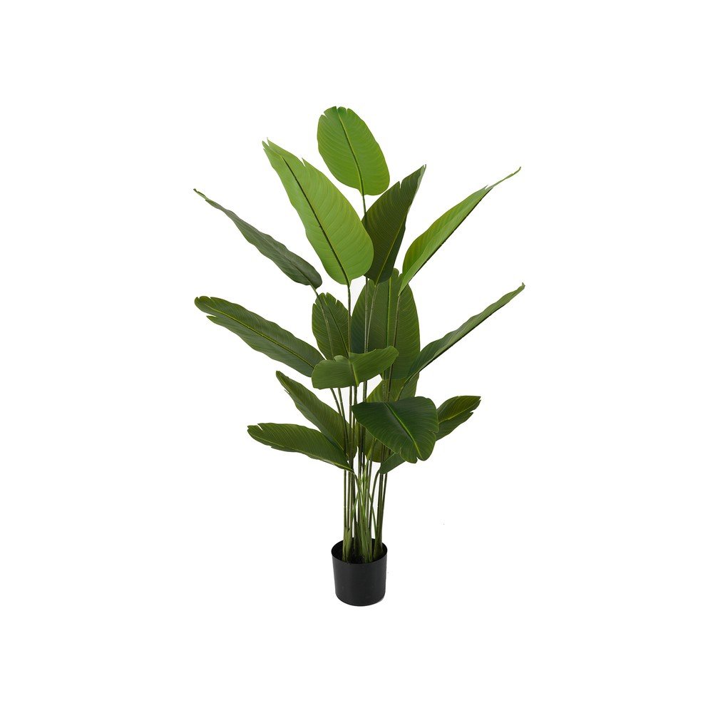 Umetna strelicija (višina 150 cm) Canna