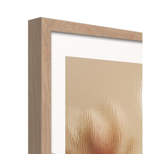 Tiskana slika z okvirjem 50x70 cm Soft Magnolia – Styler-image-4