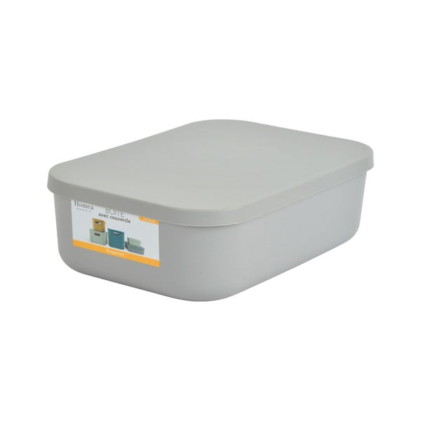Siva plastična škatla za shranjevanje s pokrovom 24x18x8 cm – Homéa-image-2