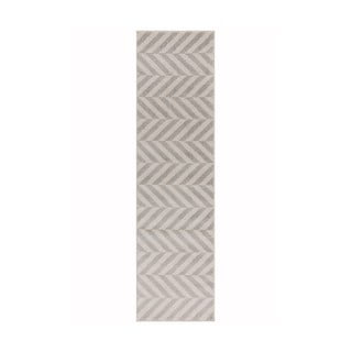 Svetlo siva preproga 66x240 cm Muse – Asiatic Carpets
