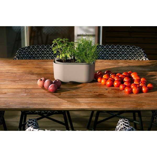 Bež samozalivalni cvetlični lonček Plastia Tolita-image-2