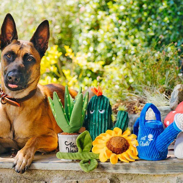 Darilni set Blooming Buddies 5 ks - P.L.A.Y.-image-1
