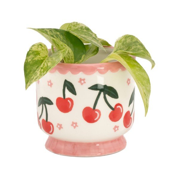 Keramičen okrasni cvetlični lonec ø 7,5 cm Fruit – Sass & Belle-image-1