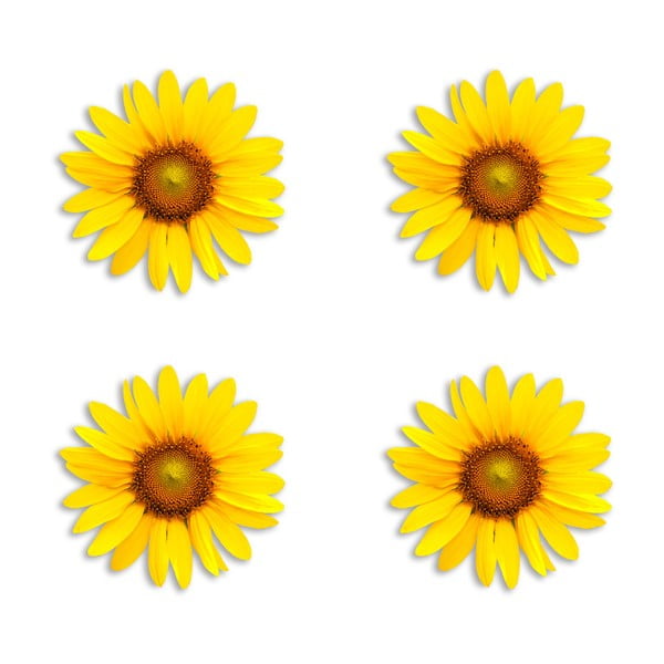 Komplet 4 dekorativnih podstavkov iz jute Madre Selva Sunflower