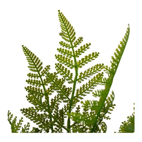 Umetna praprot (višina 45 cm) – Casa Selección-image-2