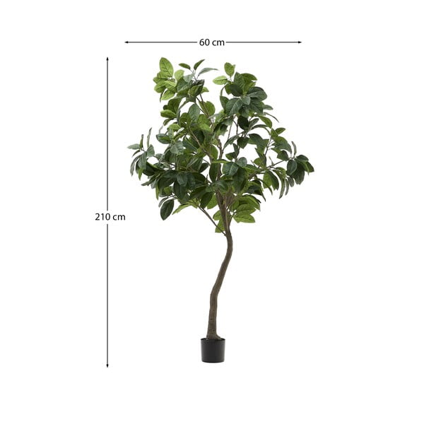 Umetni fikus (višina 210 cm) Ficus – Kave Home-image-4