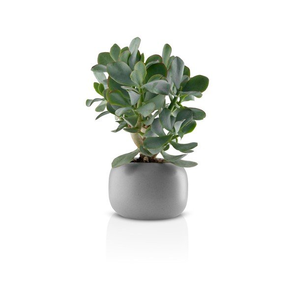 Siv keramični lonček Eva Solo Stone, ø 16 cm-image-2
