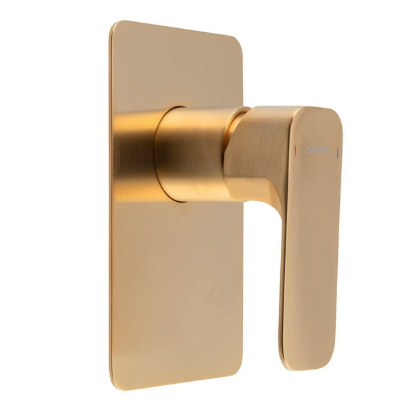 Vgrajena armatura za tuš v zlati barvi (1 izhod) Spy – Sapho