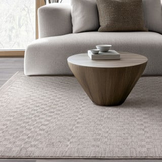 Sivo-bež preproga 200x300 cm Laurent Grey Silver – Asiatic Carpets
