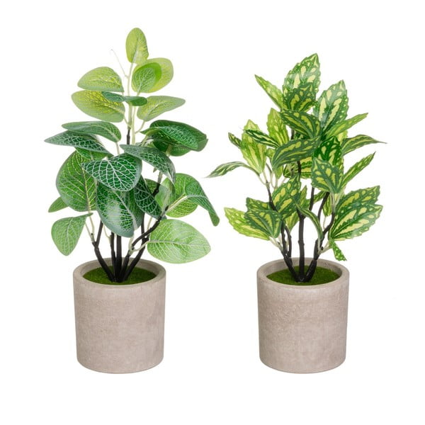 Umetne rastline v kompletu 2 ks (višina 28 cm) – Casa Selección