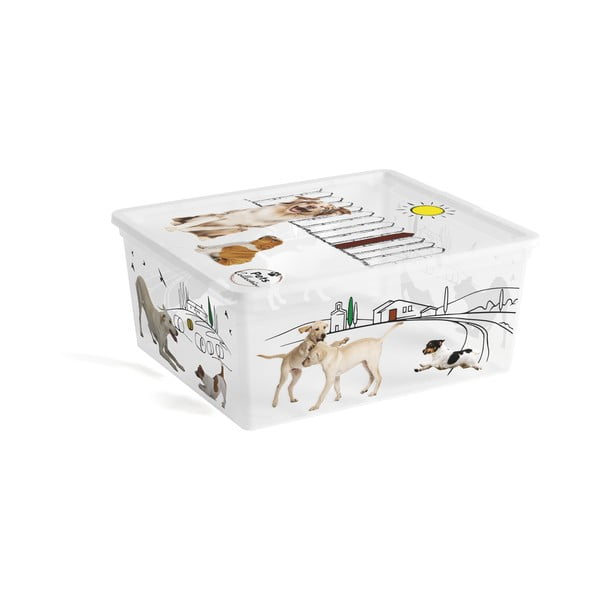 Bela plastična škatla za shranjevanje s pokrovom 40x34x17 cm C Box Style – KIS