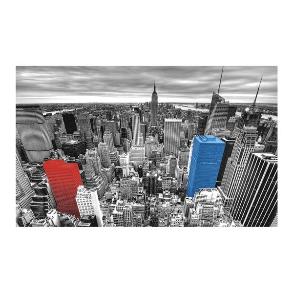 Tomasucci New York