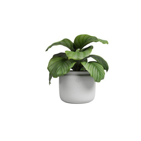 Keramičen ročno poslikan cvetlični lonec ø 26 cm Astrea – Artevasi-image-4