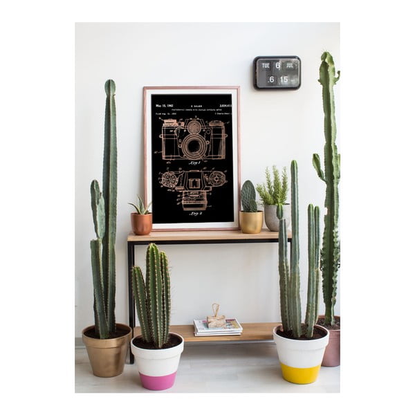 Slika 40x60 cm Camera e Sauer – Really Nice Things-image-1