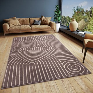 Rjava preproga 200x285 cm Iconic Wave – Hanse Home