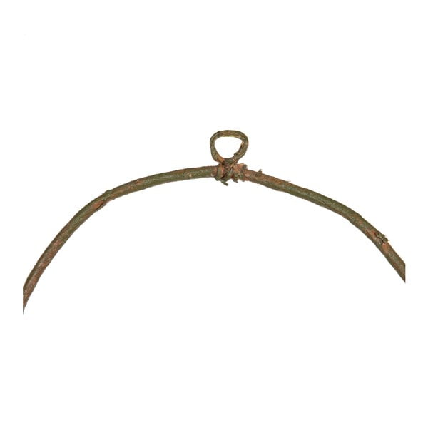 Venec Magnolia – Ixia-image-1