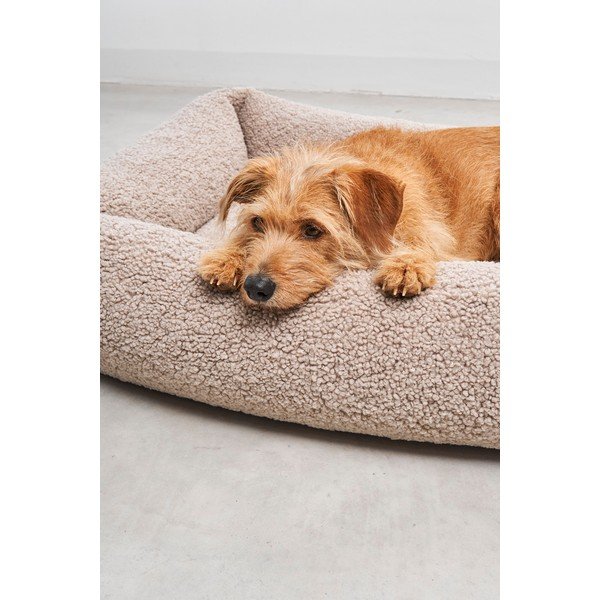 Bež bouclé podloga za pse 71x91 cm Senso Greige M – MiaCara-image-3