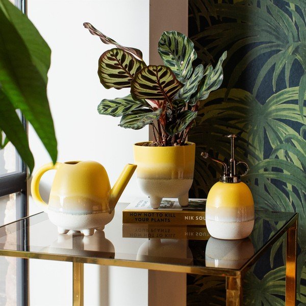 Rumen cvetlični lonček Sass & Belle Bohemian Home Mojave, ø 11,7 cm-image-1