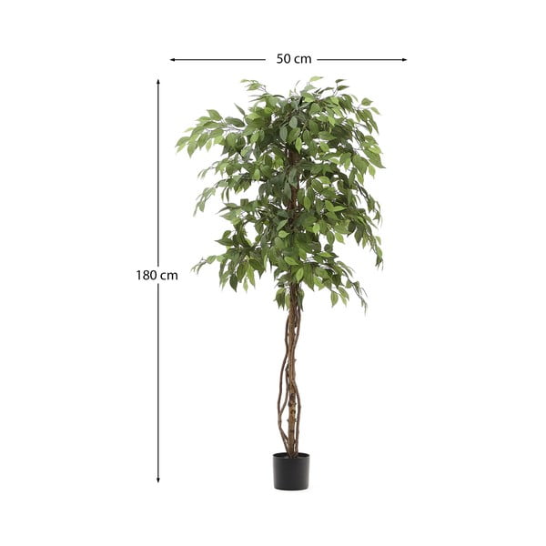 Umetni fikus (višina 180 cm) Ficus – Kave Home-image-4
