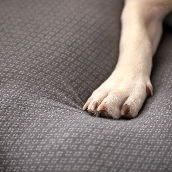 Svetlo siva podloga za pse 60x48 cm Graphene – Love Story-image-3