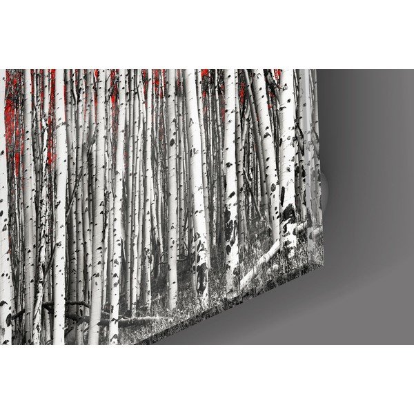 Steklena slika Insigne Birches-image-2