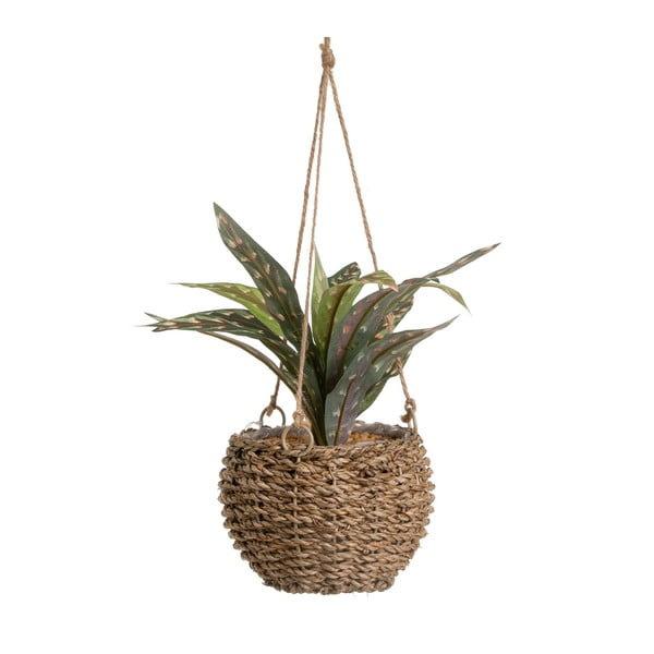 Umetna rastlina (višina 25 cm) – Casa Selección