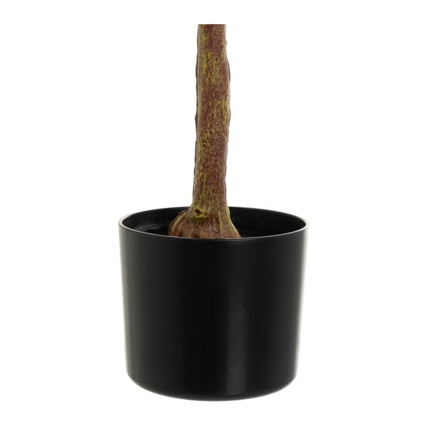 Umetna rastlina Eucalyptus – Casa Selección-image-3