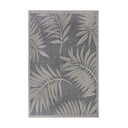 Siva zunanja preproga 115x170 cm Clyde Paru – Hanse Home