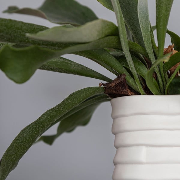 Bela porcelanasta ročno izdelana vaza Ribbon – Mette Ditmer Denmark-image-4