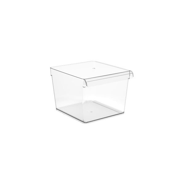 Plastičen organizator za hladilnik 22x20 cm Loft – Rotho