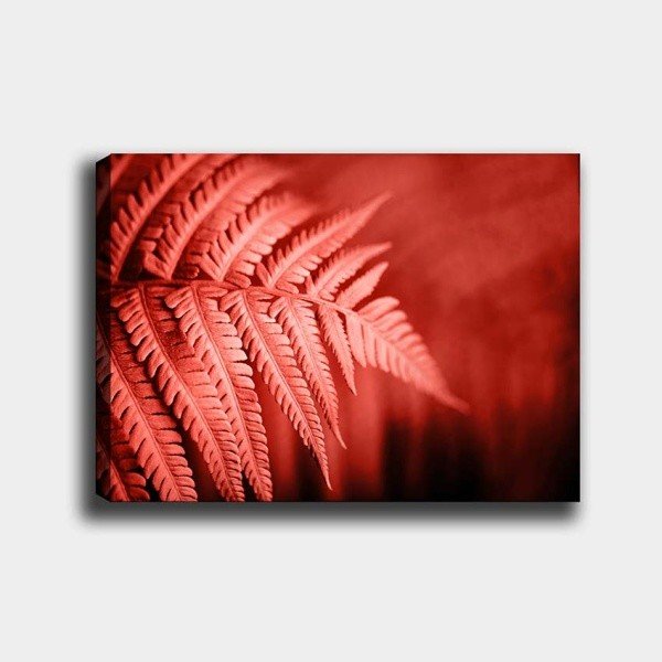 Stenska poslikava na platnu Tablo Center Palm, 40 x 60 cm