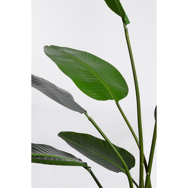 Umetna rastlina (višina 185 cm) Sterilizia – Bizzotto-image-1
